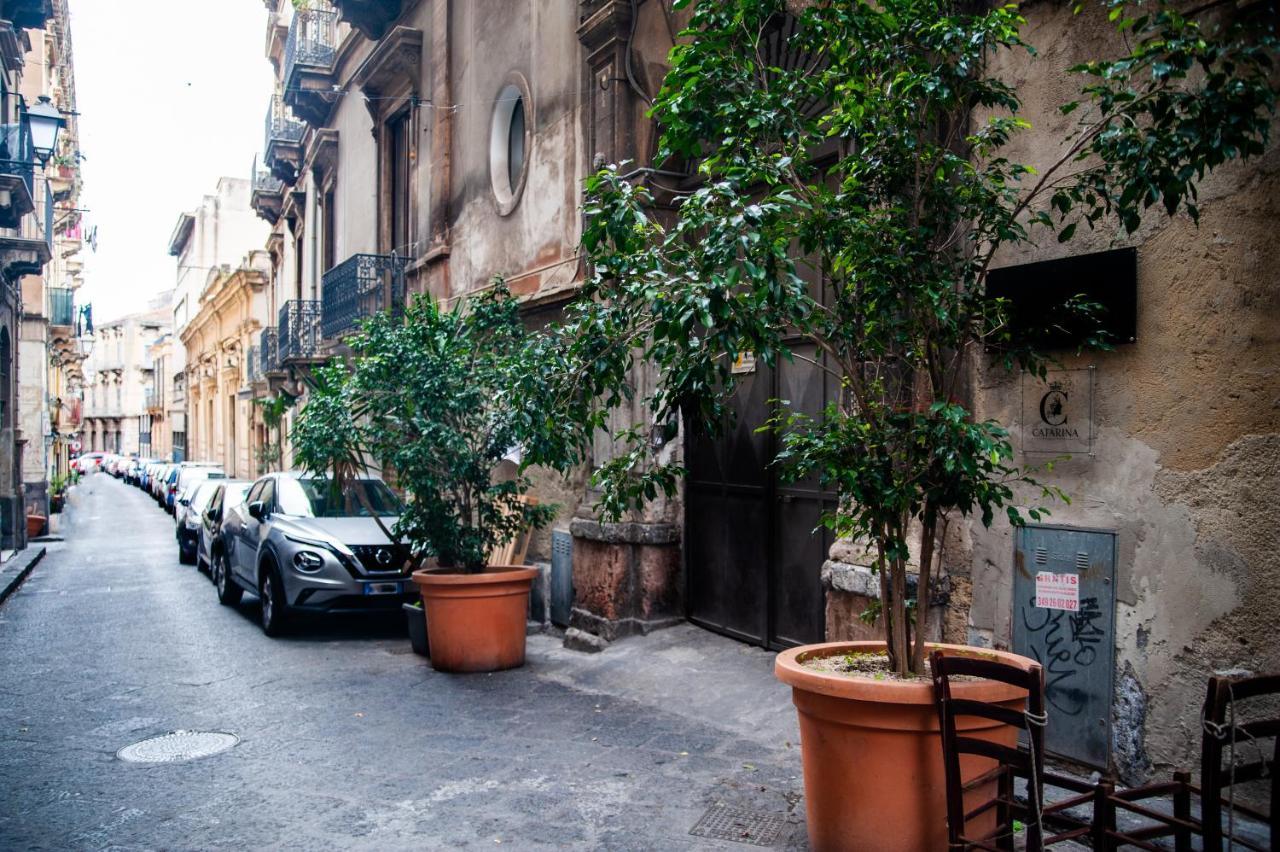 Catarina Suites - Centro Storico 卡塔尼亚 外观 照片